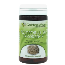 Polyporus50_TRICO-DREN-K